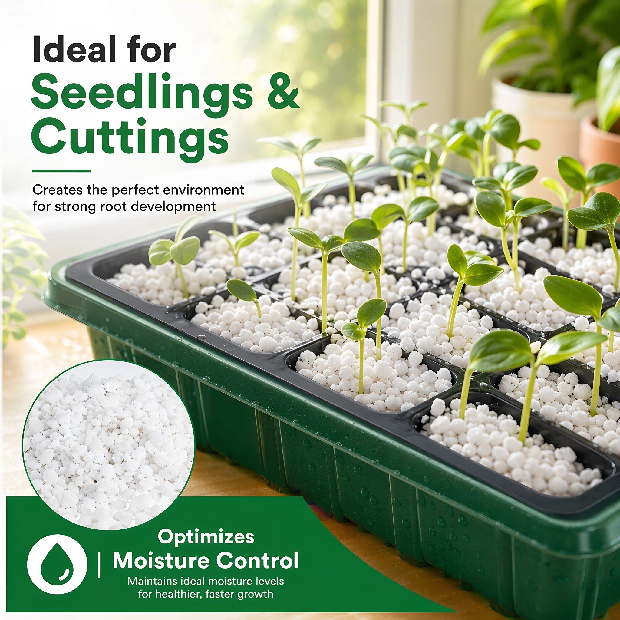 5 Quarts Horticultural Perlite - Horticulture Soil Perlite 评论和价格