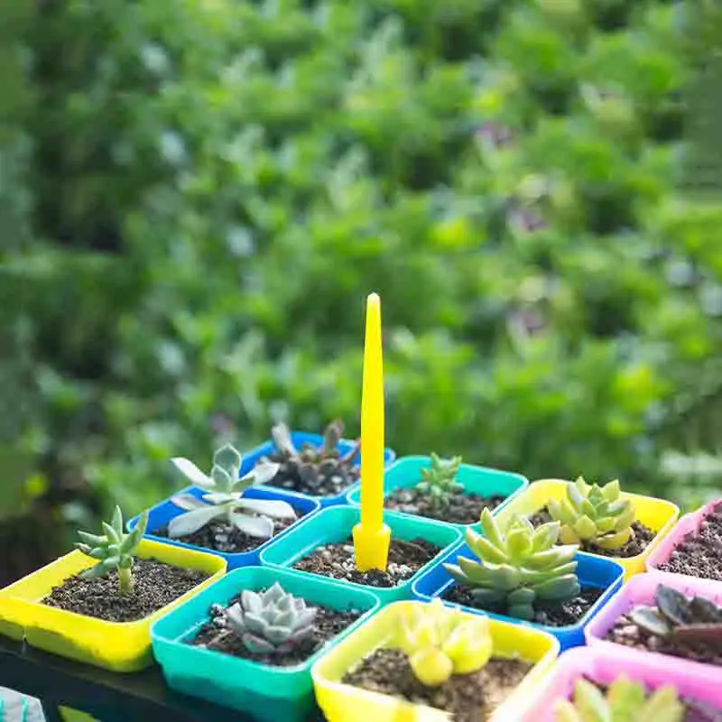 1/10Pcs Sowing Succulents Tran - Bonsai Tool Set 评论和价格