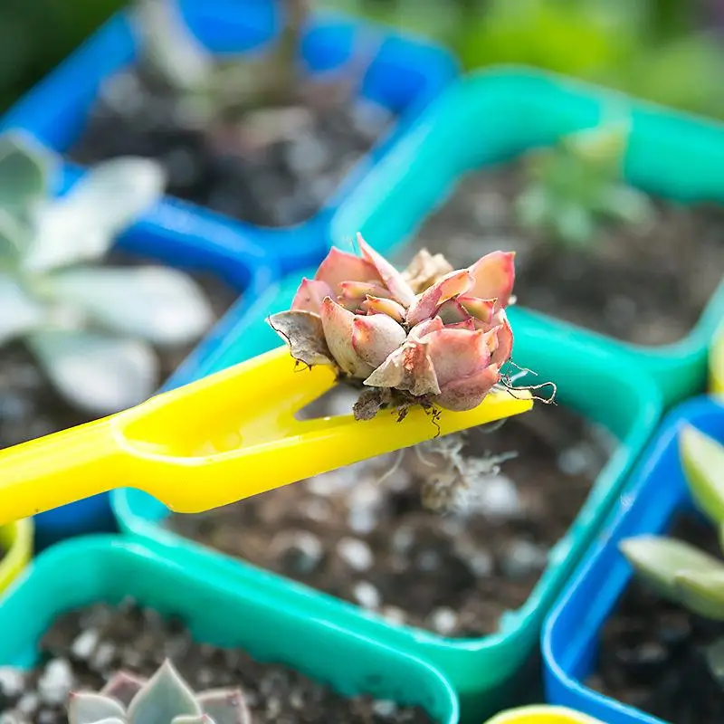 1/10Pcs Sowing Succulents Tran - Bonsai Tool Set 评论和价格