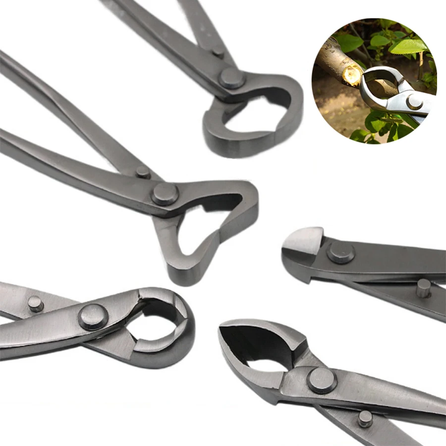 1pcs Stainless Steel Bonsai Pr - Bonsai Tool Set 评论和价格
