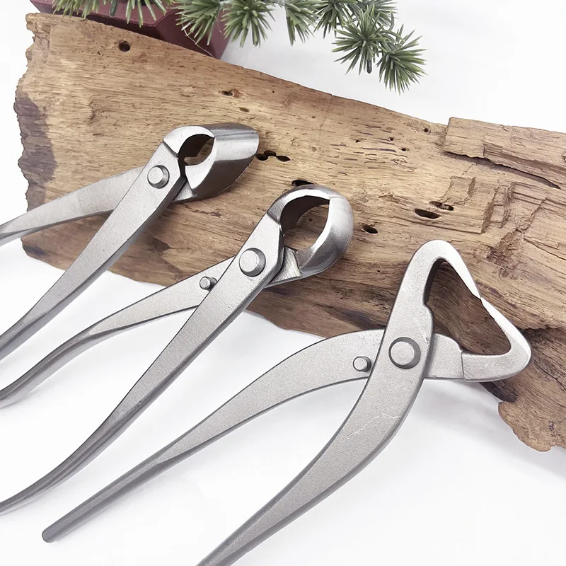 1pcs Stainless Steel Bonsai Pr - Bonsai Tool Set 评论和价格
