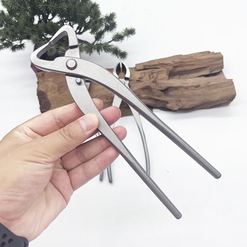 1pcs Stainless Steel Bonsai Pr - Bonsai Tool Set 评论和价格