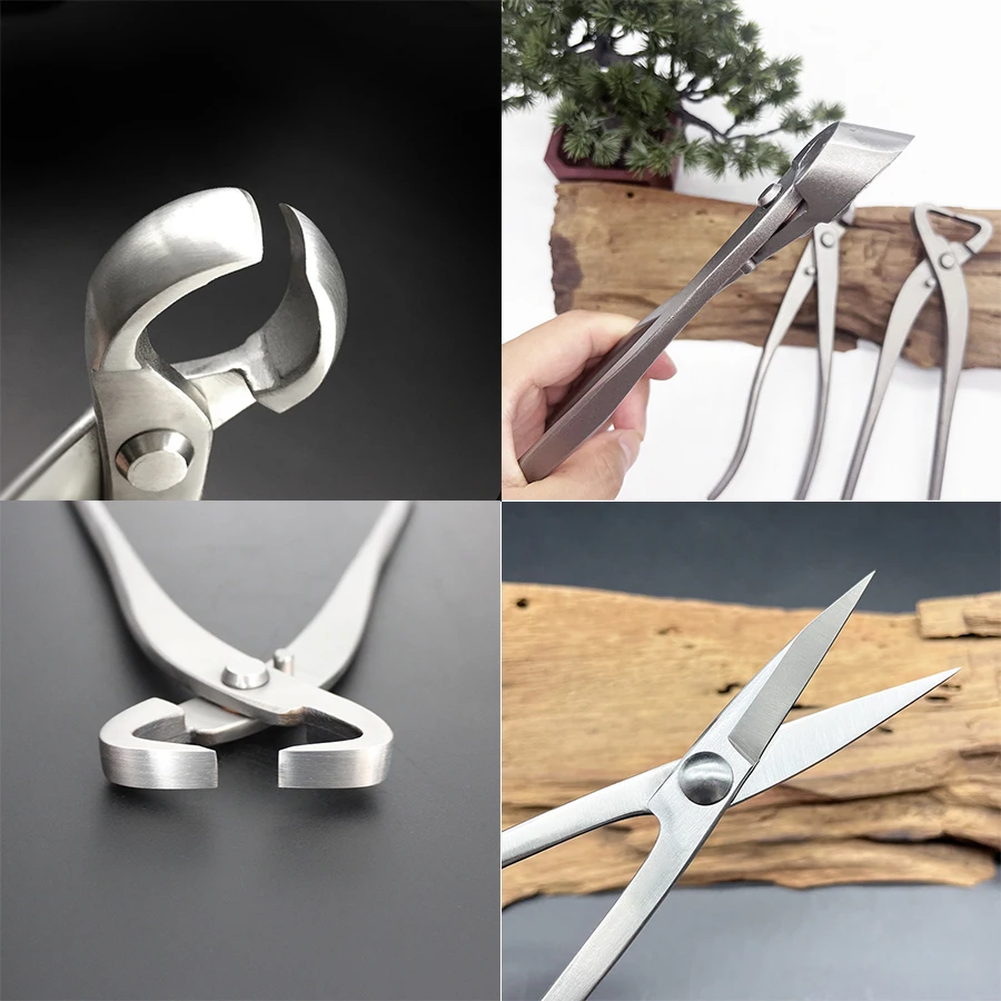 1pcs Stainless Steel Bonsai Pr - Bonsai Tool Set 评论和价格