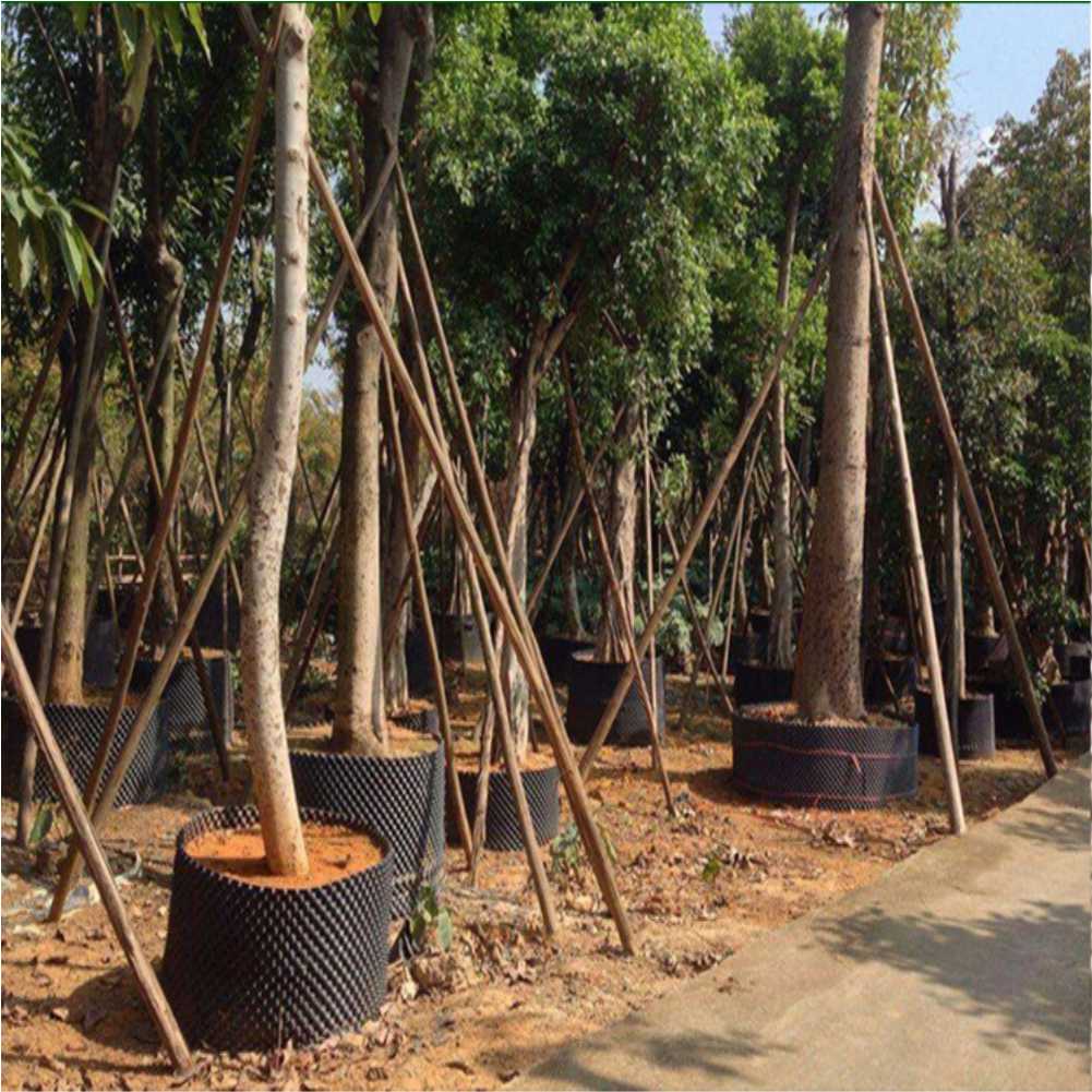 Grow Container Garden Tree Bon - Bonsai Tool Set 评论和价格