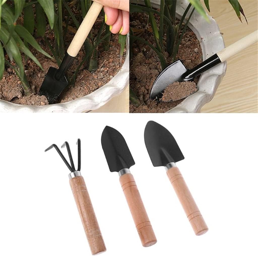 3 Pack Garden Shovel Rake Shov - Bonsai Tool Set 评论和价格
