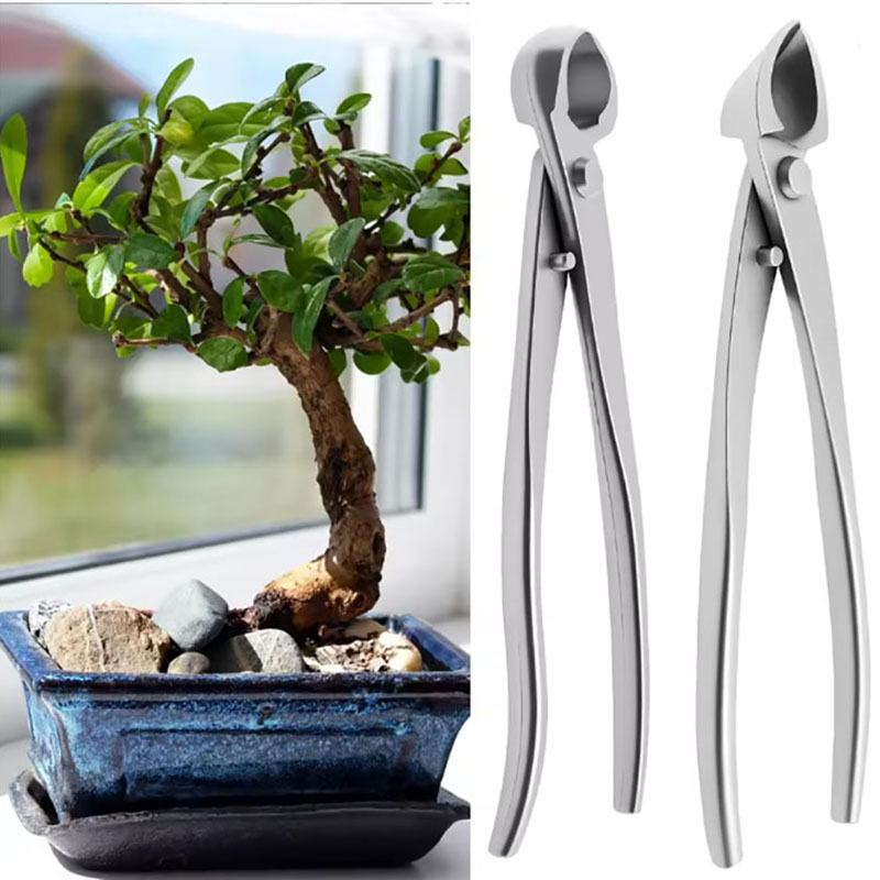 2pcs 210mm Stainless Steel Bon - Bonsai Tool Set 评论和价格