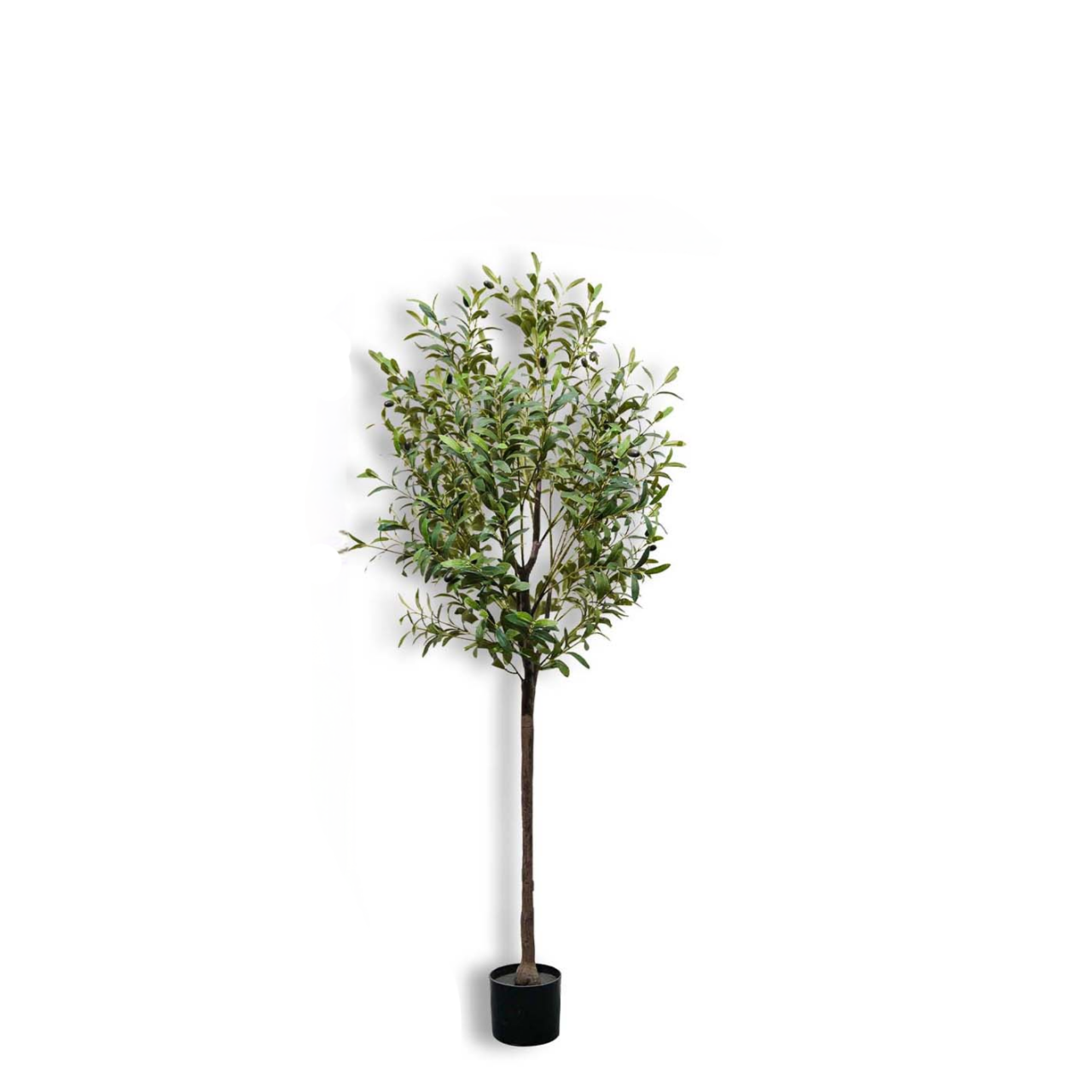 150cm/59In Artificial Olive Tr - Bonsai Garden Sushi 评论和价格