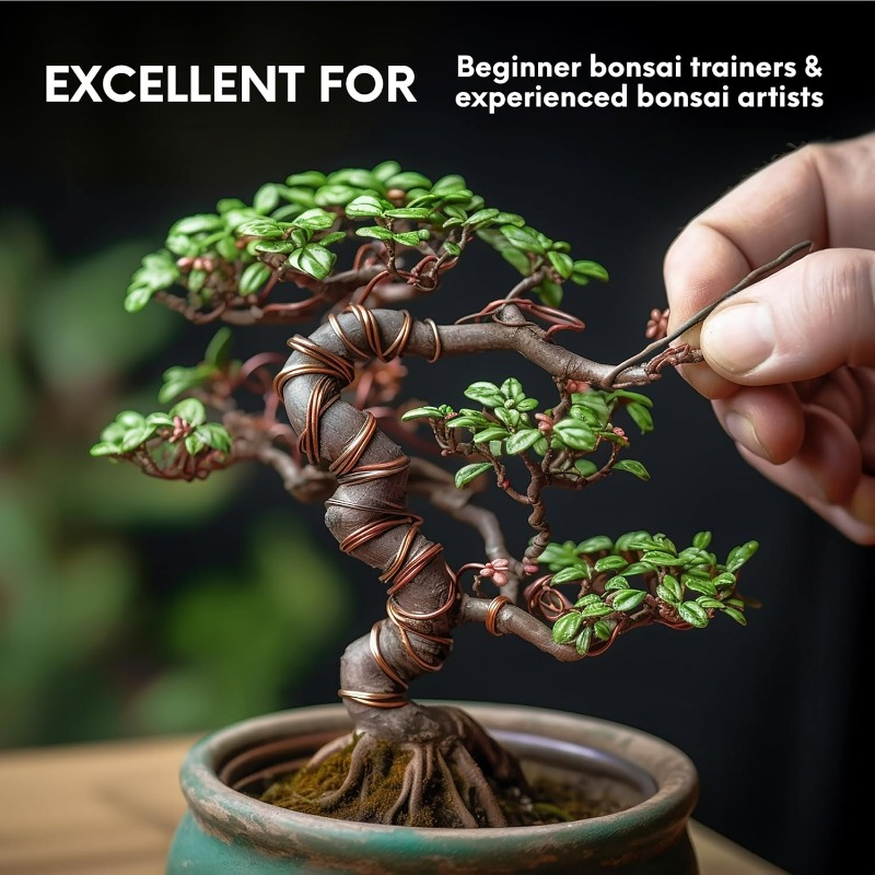 5M Bonsai Training Wire Set fo - Bonsai Tool Set 评论和价格