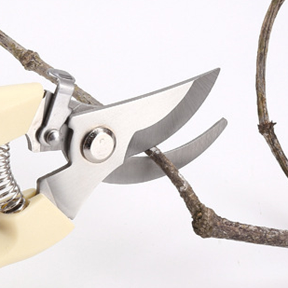 Pruner Shears Hand Tools Bonsa - Bonsai Tool Set 评论和价格